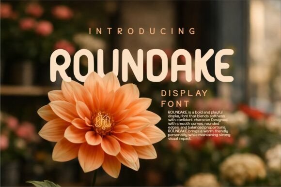 Roundake: A Typeface That Brings Personality and Charm to Your Designs