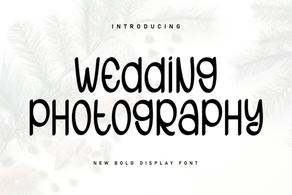 Wedding Photography: Capturing Moments with Heartfelt Perfection